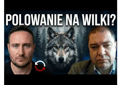 Zapałowski od Mentzena chce zabijać wilki | Berkowicz i Skalik razem z Putinem przeciwko Polsce