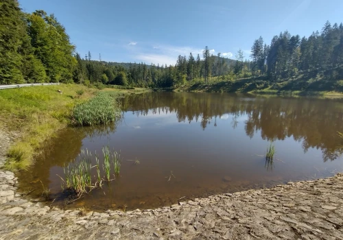 Susza daje się we znaki. Gmina Istebna apeluje o oszczędzanie wody