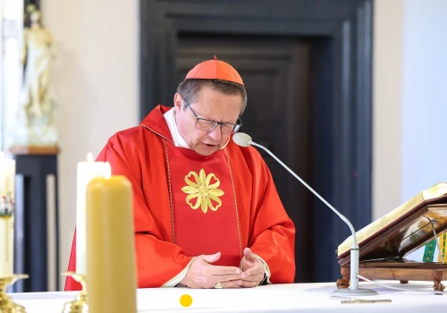 Zmiana personalna w Archidiecezji Krakowskiej. Kard. Grzegorz Ryś postawił na kobietę
