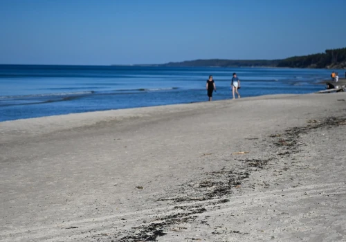Są wyniki badań próbek substancji znalezionej na plażach w rejonie Ustki