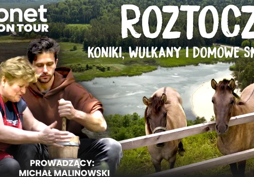 Koniki polskie, tajemnice wulkanów i domowa pizza guciowska | ODKRYWAMY ROZTOCZE