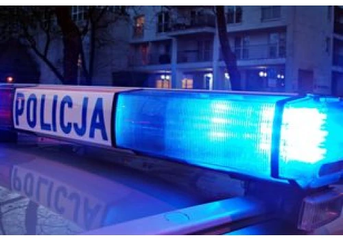 Wypadek na S52 w powiecie cieszyńskim. Dwa auta zderzyły się z dziką zwierzyną. Utrudnienia w kierunku Bielska-Białej