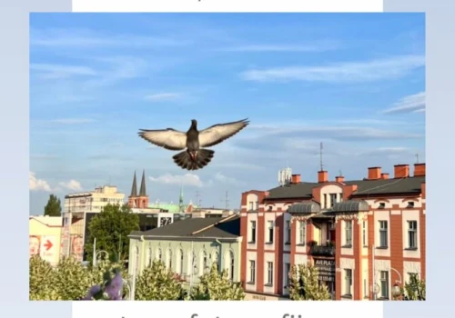 Częstochowska Aleja w obiektywie Ewy Marii Powroźnik