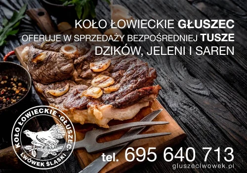 Dziczyzna prosto z łowiska – naturalny smak, który warto poznać