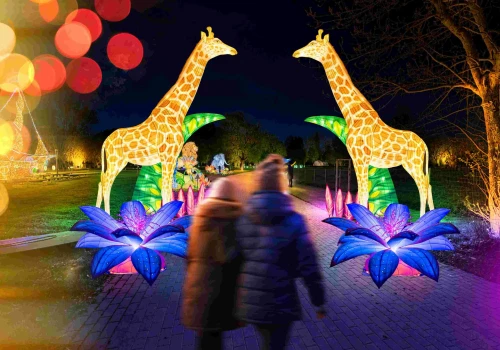 Park Miliona Świateł w Ogrodzie Doświadczeń. Tak będzie wyglądać „Królestwo Zwierząt”