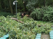 Nastolatki siedziały na widowni. Nagle spadł na nie konar