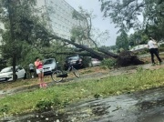 Wielka nawałnica nad Mielcem. Drzewa na ulicach, mieszkańcy bez prądu