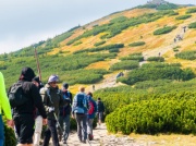 Jedna z najpopularniejszych tras górskich zostanie zamknięta. Turystów czekają utrudnienia