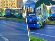 Wrocław. Zderzenie tramwajów. Wagon wyleciał na jezdnię