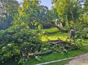 Ponad 100 zniszczonych drzew. Łazienki Królewskie wciąż zamknięte