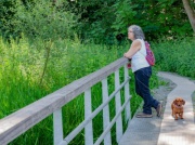 Do tych sanatoriów bez problemu zabierzesz psa. Oto lista miast