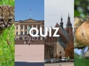 Zapraszamy na quiz na O. Pytania są trudne, ale zawsze możesz strzelać