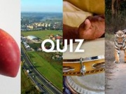 Uwaga! Nowy quiz! Pytamy o proste rzeczy, ale jednak trzeba pomyśleć