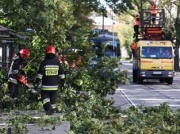 Załamanie pogody w Polsce. W łodzi zginęła rowerzystka. Warszawskie Łazienki zamknięte do odwołania