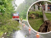 Niebezpieczna pogoda nad Polską, żywioł nie ma litości. Nie żyją już dwie osoby