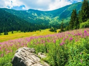 „Różowe Tatry” w pełnej krasie. Jedyny czas w roku, kiedy można je zobaczyć