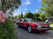 Jaguar XJS Convertible – 68500 PLN – Kórnik