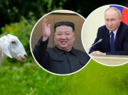 Kim i Putin zacieśniają współpracę. Kozy trafią z Rosji do Korei Północnej