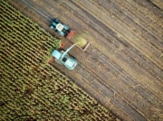 Zmiana klimatu może pogłębiać zanieczyszczenie gleb rtęcią