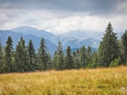 Rusza górska biegowa liga mistrzów w Polsce, czyli Tatra SkyMarathon