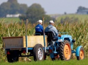 Rolnicy pracują ciężej niż inni? Chcą wyższych emerytur i obniżki wieku emerytalnego