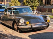 Citroën DS spotkany w… Calgary. Zimowa stolica Kanady też kocha szewrony