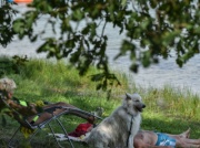 Badanie. Nie ma jak wakacje w Polsce - „gościnność, dobre jedzenie, piękne krajobrazy”