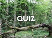 Quiz wiedzy ogólnej. Temat - las. Podołacie wyzwaniu i ugracie komplet?