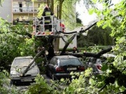 Przez wichurę na samochód spadło drzewo? W tej sytuacji możesz otrzymać zwrot za naprawę. Nawet bez AC