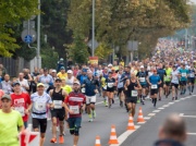 Poznaliśmy trasę 23. Poznań Maratonu