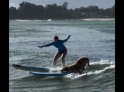 Najlepszy surfer w okolicy. Pokazał, kto jest prawdziwym królem na desce [WIDEO]