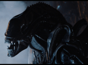 Alien – Rodzaje i podgatunki Xenomorphów z filmów i gier