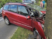 Bezpieczny jak Citroën C4 Picasso. Gdy auto uderzyło w drzewo, kierowca wyszedł o własnych siłach