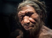 Warsztat neandertalczyka. Co nam mówią narzędzia sprzed tysięcy lat?