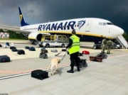 Białorusini porwali samolot Ryanair. Będą listy gończe