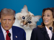 Debata Harris-Trump, czyli wielkie darcie kotów