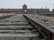 Więcej Brytyjczyków przyjedzie do Auschwitz. Touroperator ma plan