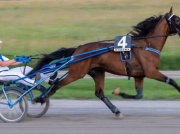 Ceny działek budowlanych – końca podwyżek nie widać, ale galop przeszedł w kłus