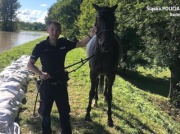 Policjanci uratowali konia. Zwierzę płynęło z nurtem Odry