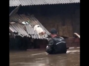 Poruszające nagranie akcji ratunkowej. Nie zapomnieli o zwierzętach!