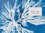 Anna Atkins i jej “botaniczny taniec”. Wyjątkowe prace pionierki fotografii