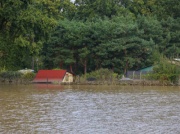 Lasy Państwowe apelują. 