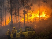 Portugalia walczy z pożarami, piłkarze pomogą. 200 drzew za gola