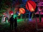 POZNAŃ: Lumina Park w zupełnie nowej odsłonie [ZDJĘCIA, FILM]