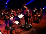 Sinfonietta Cracovia zachwyciła Holendrów. Ten koncert był szczególny (ZDJĘCIA)