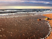 Bałtyk wyrzucił na plażę prawdziwe skarby. Szybko zebrały się tam tłumy. 