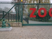 Koszmarek przy krakowskim ZOO – smok, który miał cieszyć, a szpeci (ZDJĘCIA)