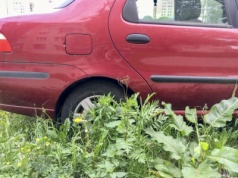 Zalegały na parkingach, teraz idą pod młotek. Wśród nich prawdziwe perełki