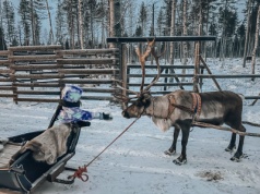 Rovaniemi – kraina Świętego Mikołaja – kiedy się wybrać, jak dotrzeć, gdzie spać?