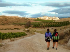 Coraz więcej Polaków na szlaku Camino de Santiago - najnowsze statystyki